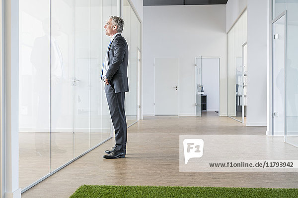 Mature businessman standing in office space with green grass carpet