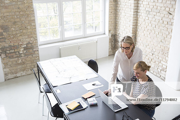 Mature businesswoman working with younger colleague in office