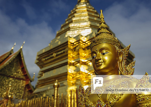 Thailand Chiang Mai Tempel Wat Phra That Doi Suthep verzierte goldene Statue und chedi