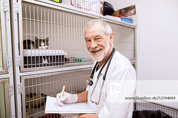 Lächelnder leitender Tierarzt beim Ausfüllen von Dokumenten im Käfig mit Katzen
