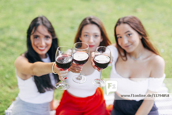 Friends in a park raising red wine glasses