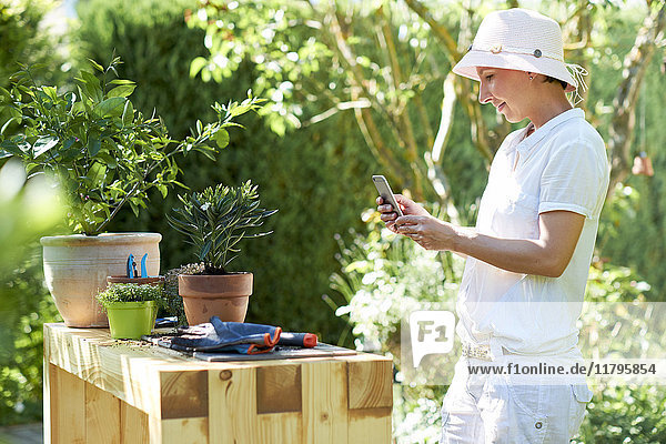 Frau macht Handyfoto von Oleander am Tisch im Garten