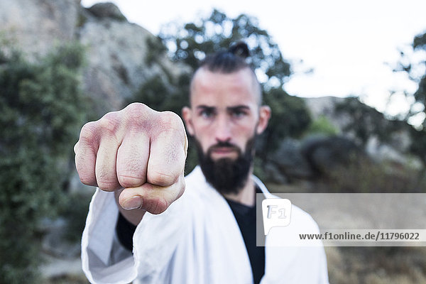 Challenging man showing his fist doing a martial arts pose