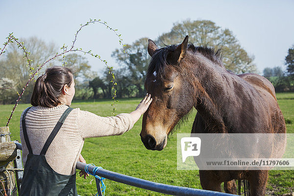 Frau steht im Freien an einem blauen Zaun und streichelt den Kopf eines braunen Pferdes.
