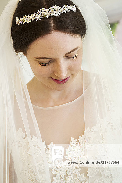 Eine Braut im Brautkleid  Diadem und Schleier  Kopf und Schultern. Ein modisches Kleid mit Spitzenmieder und Netzmieder und Ärmeln.