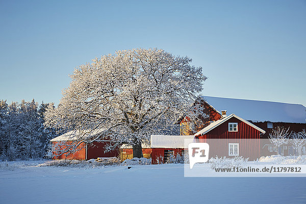 Falun rote Häuser in Winterlandschaft