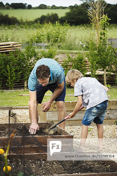 Man and boy standing at a plant bed in a garden  boy holding a spade.