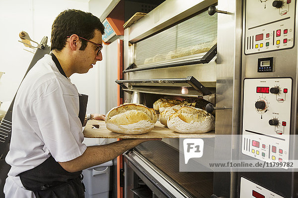 Bäcker holt Blech mit frisch gebackenen Brotlaiben aus dem Ofen