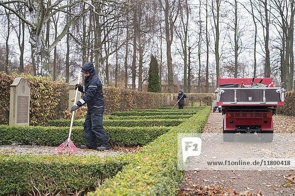 Man working in garden