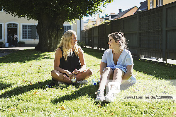 Freunde sitzen auf dem Rasen und reden