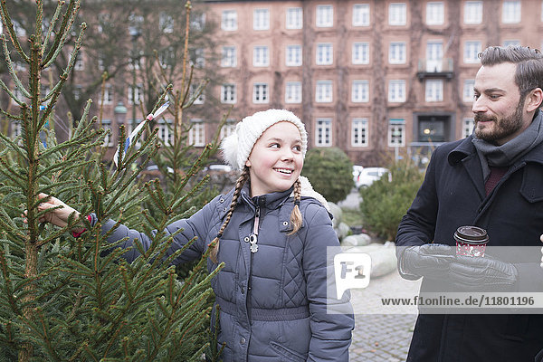 Mädchen wählt Weihnachtsbaum aus