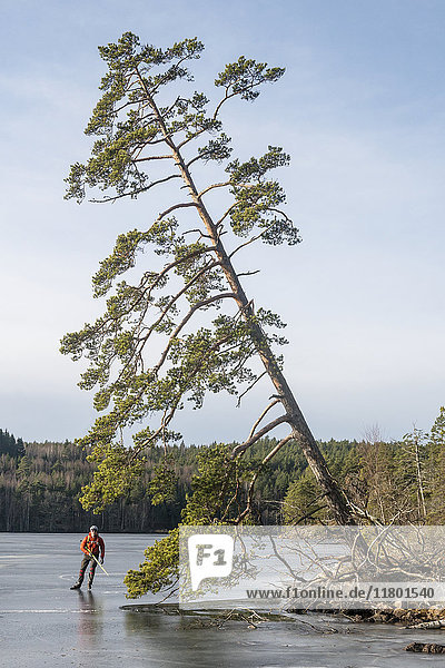 Mann auf Schlittschuhen in der Nähe eines Baumes