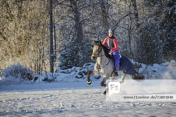 Frau reitet Pferd in Winterlandschaft