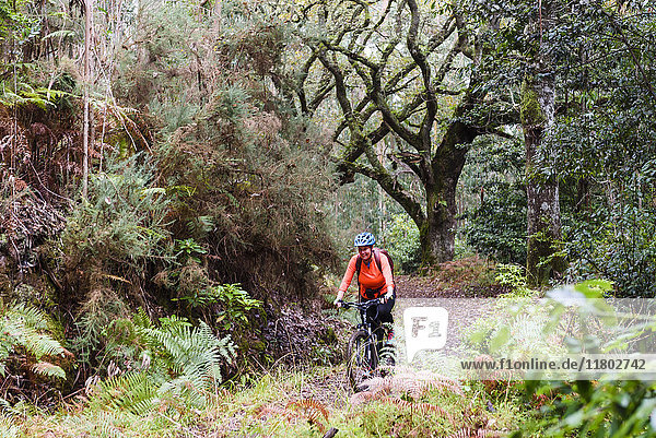 Woman mountain biking through forest