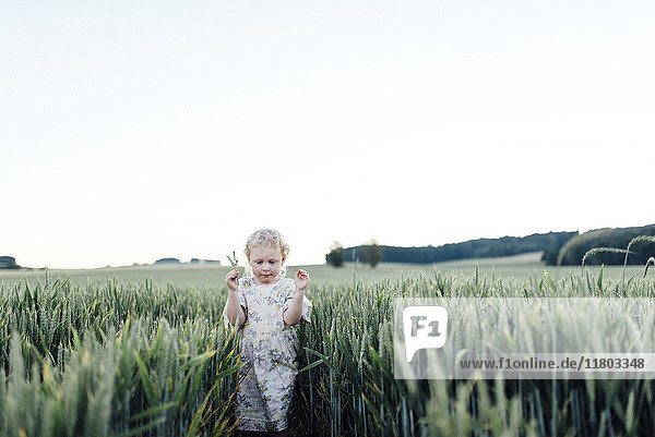 Mädchen geht durch ein Weizenfeld