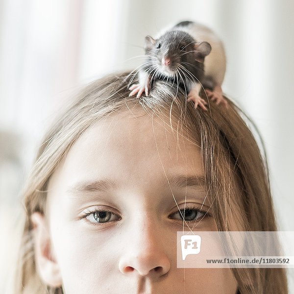 Girl with pet rat on her head