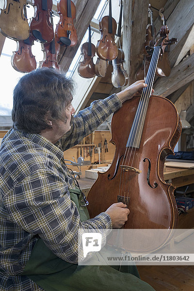 Arbeiter repariert Geige in der Werkstatt