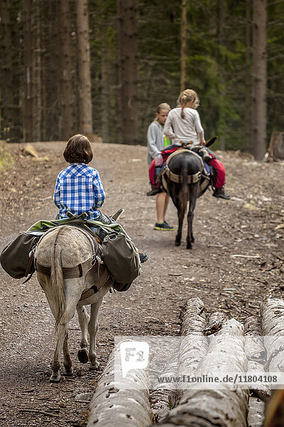 Girls on a hiking tour with donkeys in the black forest