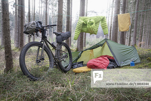 Mountainbike geparkt an Baumstämmen mit Zelt und Wäscheleine im Wald