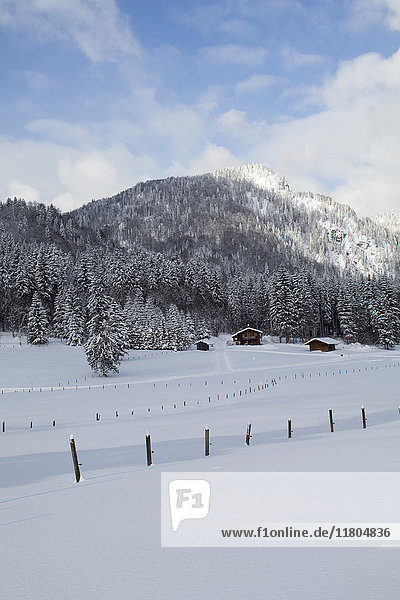 Holzpfosten auf schneebedeckter Landschaft mit Bäumen auf dem Berg und Häusern im Hintergrund