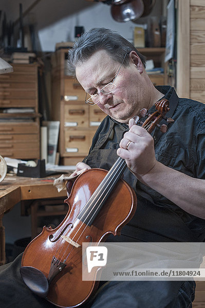 Violin maker polishing violin in workshop