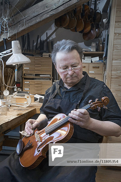 Violin maker polishing violin