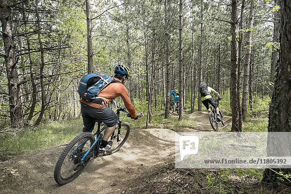 Bikers riding through forest