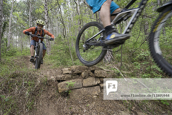 Mountainbiker vollführen Stunt im Wald