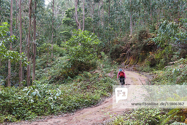 Person mountain biking through forest