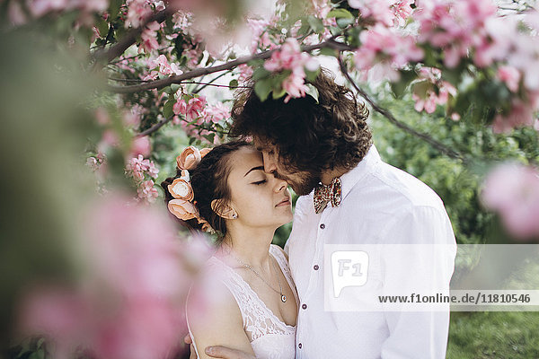 Nahöstliches Paar  das sich unter einem blühenden Baum küsst
