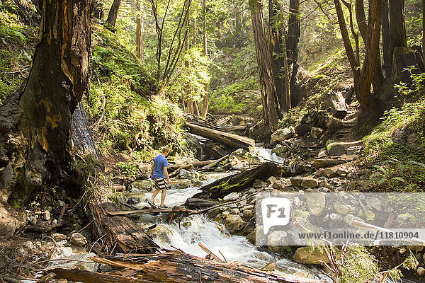 Caucasian man walking on wooden plank over forest stream
