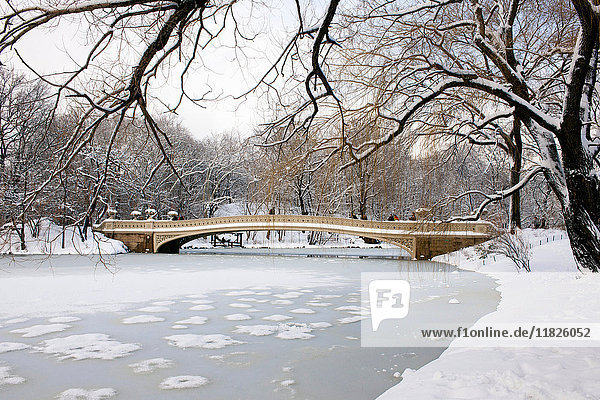 Bow Bridge am See des Central Park im Winter Manhattan New York City USA