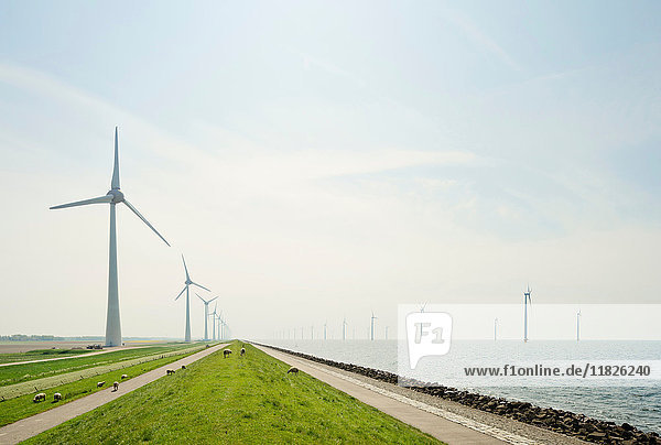 On- und Offshore-Windturbinen am IJsselmeer  Niederlande