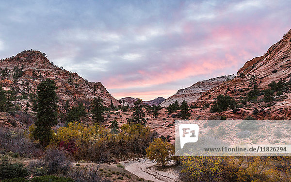 Landschaftsansicht  Zion-Nationalpark  Springdale  Utah  USA