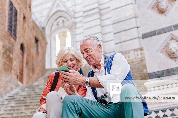 Touristenpaar betrachtet Smartphone auf der Treppe der Kathedrale von Siena  Toskana  Italien