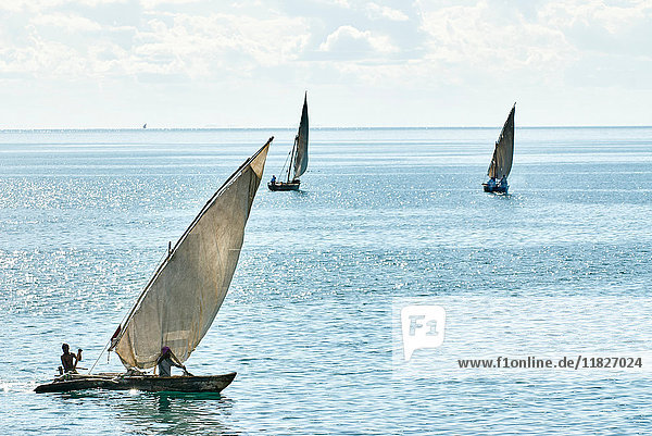 Menschen segeln auf Yachten auf See  Sansibar City  Sansibar Urban  Tansania  Afrika