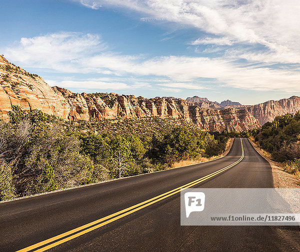 Leere Straße  Zion-Nationalpark  Springdale  Utah  USA