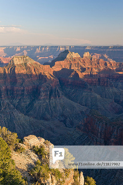 North Rim  Grand Canyon National Park  Arizona  USA