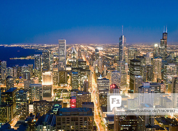View of Downtown Chicago  Illinois  USA