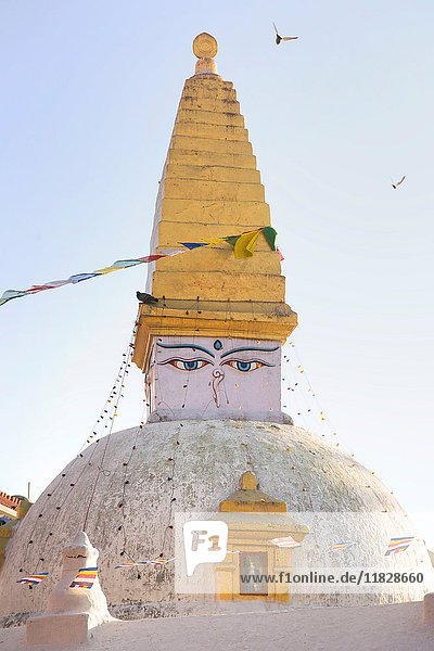 Stupa Boudhanath Kathmandu Nepal