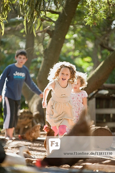 Children playing with chickens outdoors