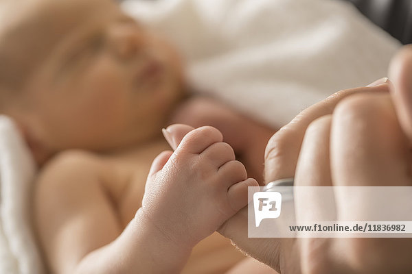 Neugeborener Sohn (0-1 Monat) hält den Finger des Vaters
