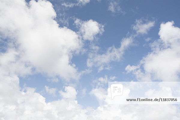 Kumulus-Wolkenlandschaft