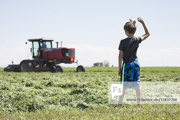 USA  Colorado  Rear view of boy (8-9) standing in field and waving to father driving combine harvester in field