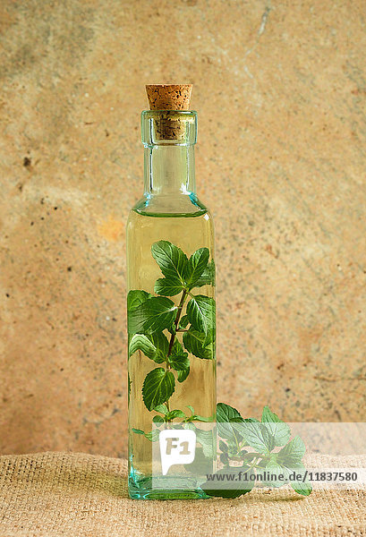 Olivenölflasche mit Minzblättern