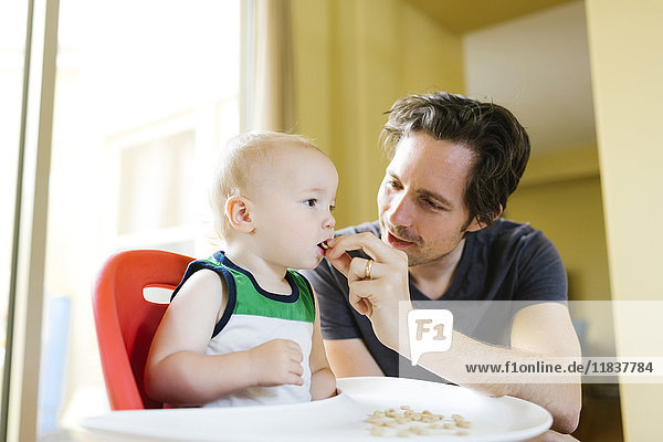 Vater füttert Sohn (12-17 Monate) mit Frühstückscerealien