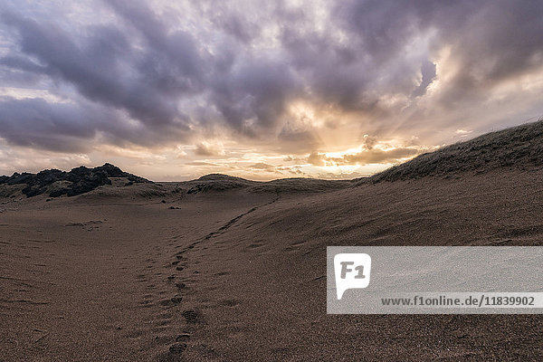 Fußabdrücke im Sand bei Sonnenuntergang