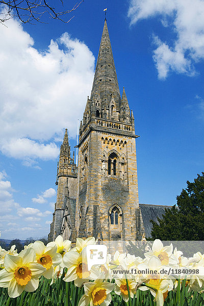 Kathedrale von Llandaff  Cardiff  Wales  Vereinigtes Königreich  Europa
