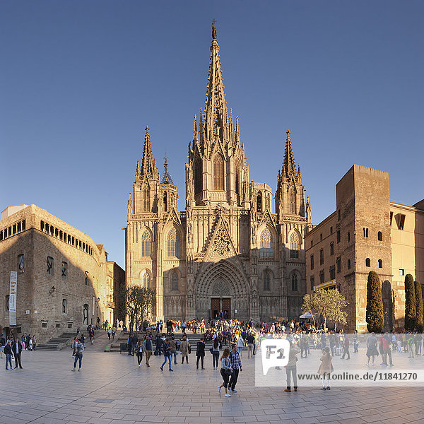 La Catedral de la Santa Creu i Santa Eulalia (Kathedrale von Barcelona)  Barri Gotic  Barcelona  Katalonien  Spanien  Europa