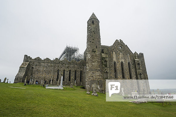Kathedrale auf dem Felsen von Cashel  Cashel  Grafschaft Tipperary  Munster  Republik Irland  Europa